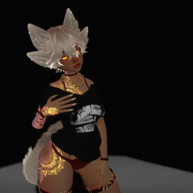 Fully Custom Model